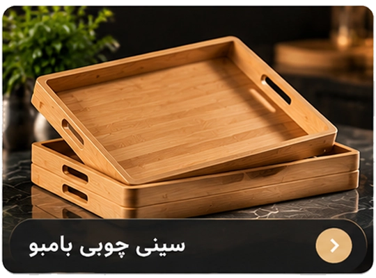 Bamboo wooden tray